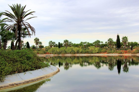 Der botanische Garten Botanicactus von Mallorca, Bild-10