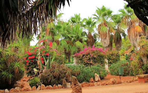 Der botanische Garten Botanicactus von Mallorca, Bild-17