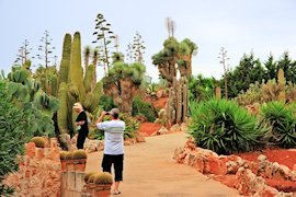 Mallorcas Gärten und Naturparks: Botanicactus