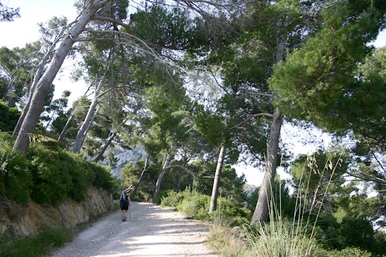Wandern auf Mallorca, zum Penya des Migdia, Bild-1