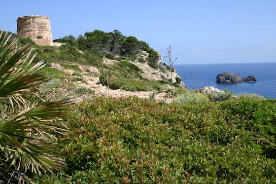 Wandern auf Mallorca, zum Torre d'Albarca, Bild-5