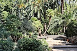 Mallorcas Gärten und Naturparks: Alfabia