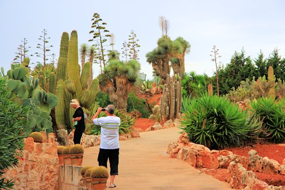 Der botanische Garten Botanicactus von Mallorca, Bild-2