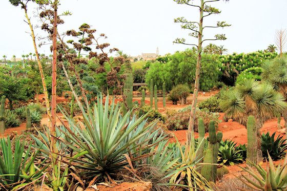 Der botanische Garten Botanicactus von Mallorca, Bild-4