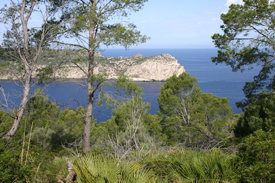Wandern auf Mallorca, zum Torre Cala en Basset, Bild-3