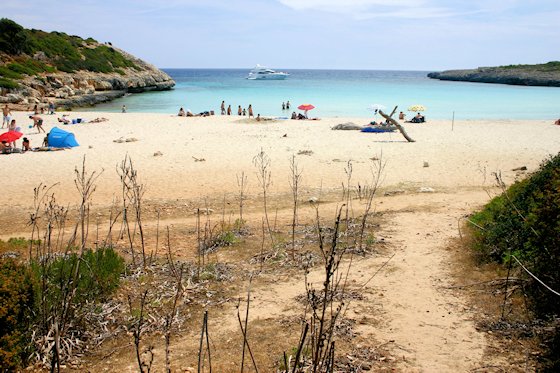 Mallorca Strand - Cala Varques, Bild-4