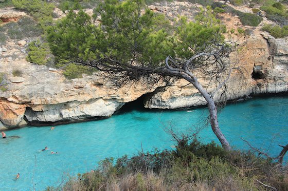 Mallorcas Strände: Calo d'Es Moro, Bild-7